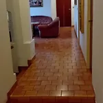 Penzion U Dubu Františkovy Lázně